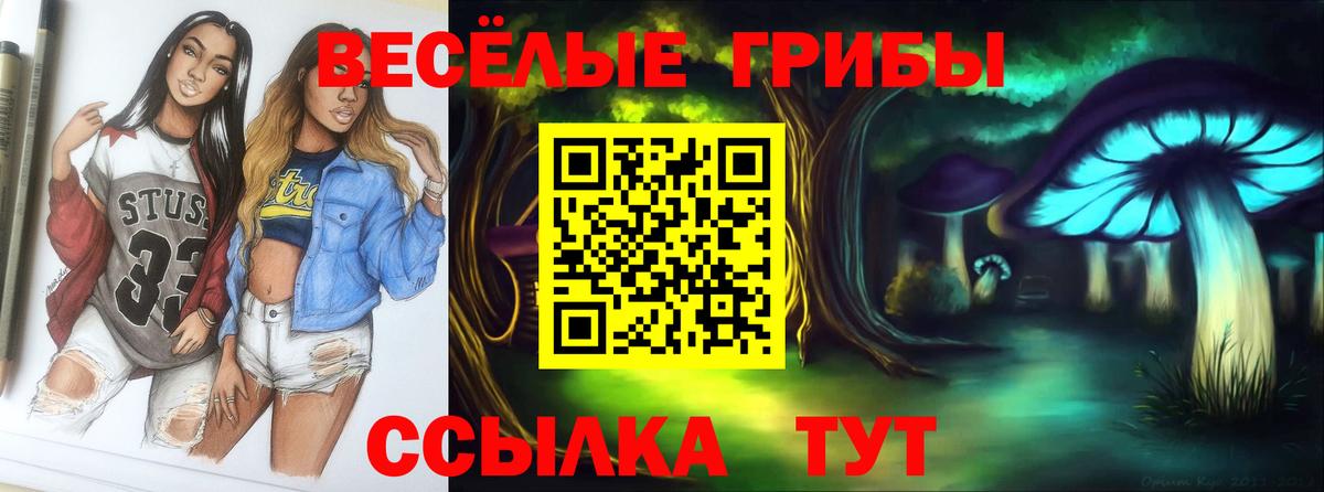 Псилоцибиновые грибы Cubensis Унеча